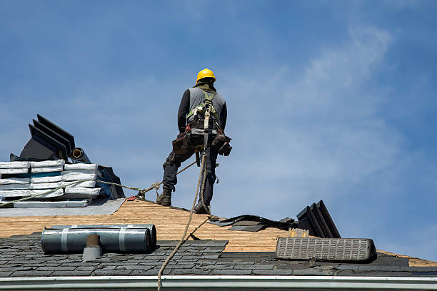 Professional Storm Damage Roof Repair technician working in Circleville, OH